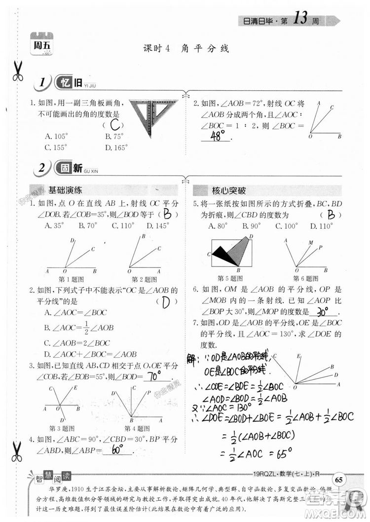 2019新版日清周練七年級數(shù)學(xué)上冊人教版參考答案