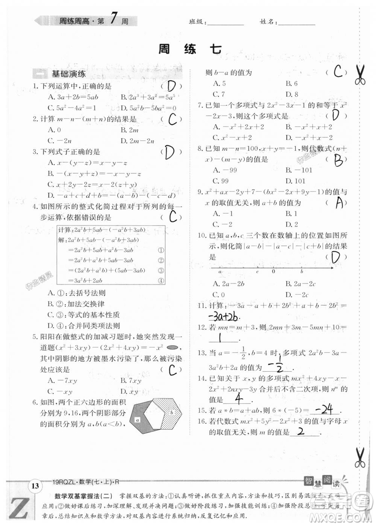 2019新版日清周練七年級數(shù)學(xué)上冊人教版參考答案