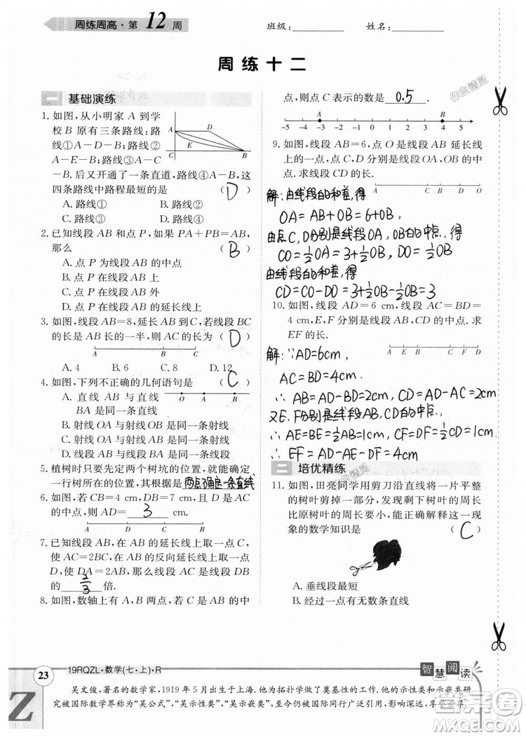 2019新版日清周練七年級數(shù)學(xué)上冊人教版參考答案