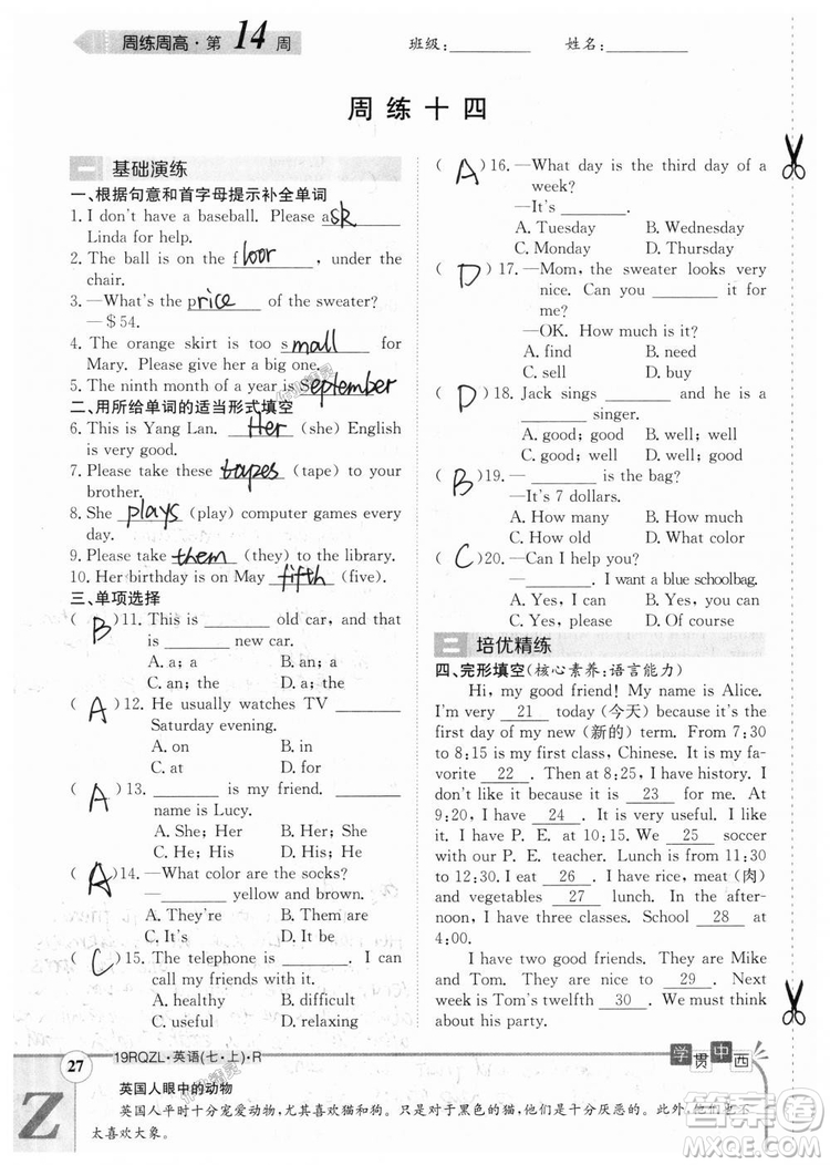 金太陽教育2019人教版日清周練七年級英語上冊參考答案