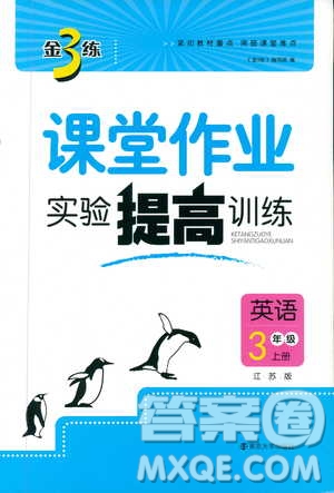 9787305168390課堂作業(yè)實驗提高訓(xùn)練2018年金3練三年級上冊英語江蘇版答案