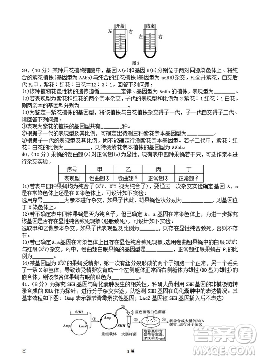 2019屆陜西省西安中學高三上學期期中考試生物試題答案