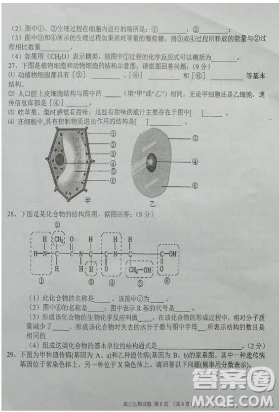 海南省儋州市2019屆高三上學(xué)期第一次統(tǒng)測生物試題及答案