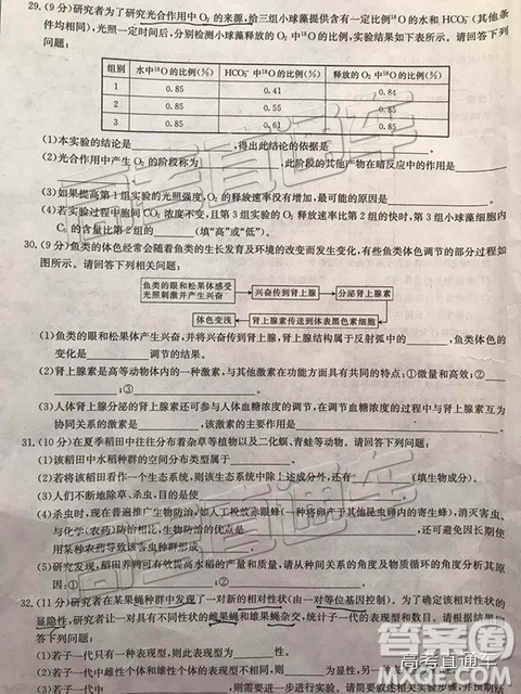 2018年11月廣東金太陽百校聯(lián)考理綜試題及參考答案