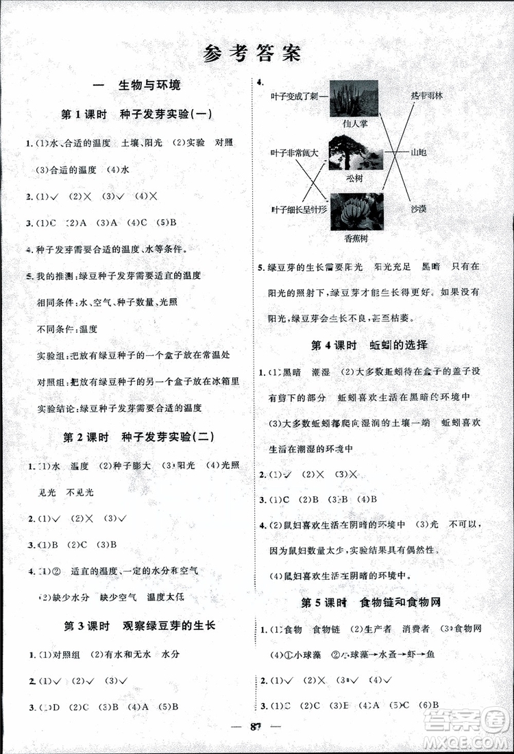 9787539295008陽光同學(xué)五年級上冊科學(xué)教科版2018課時優(yōu)化作業(yè)參考答案