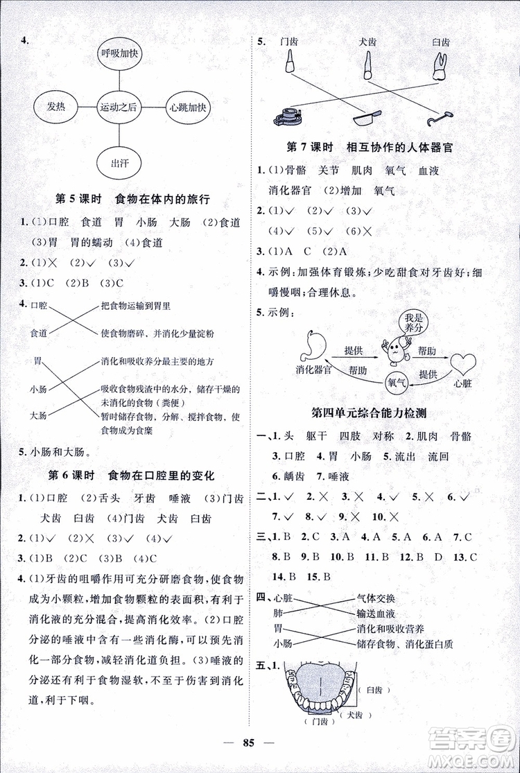 教科版2018秋陽光同學課時優(yōu)化作業(yè)科學四年級上冊科學JK參考答案