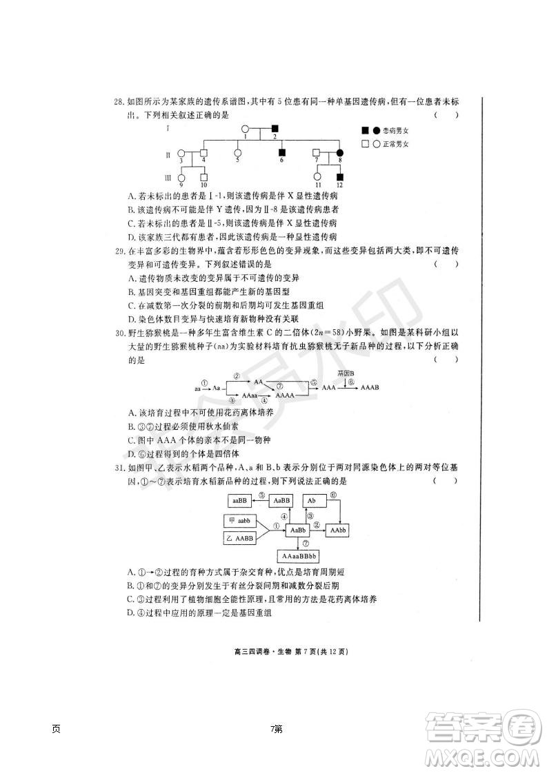 2019屆河北省衡水中學(xué)高三上學(xué)期四調(diào)考試生物試題及答案