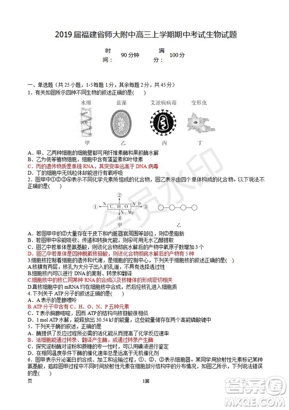 2019屆福建省師大附中高三上學(xué)期期中考試生物試題及答案