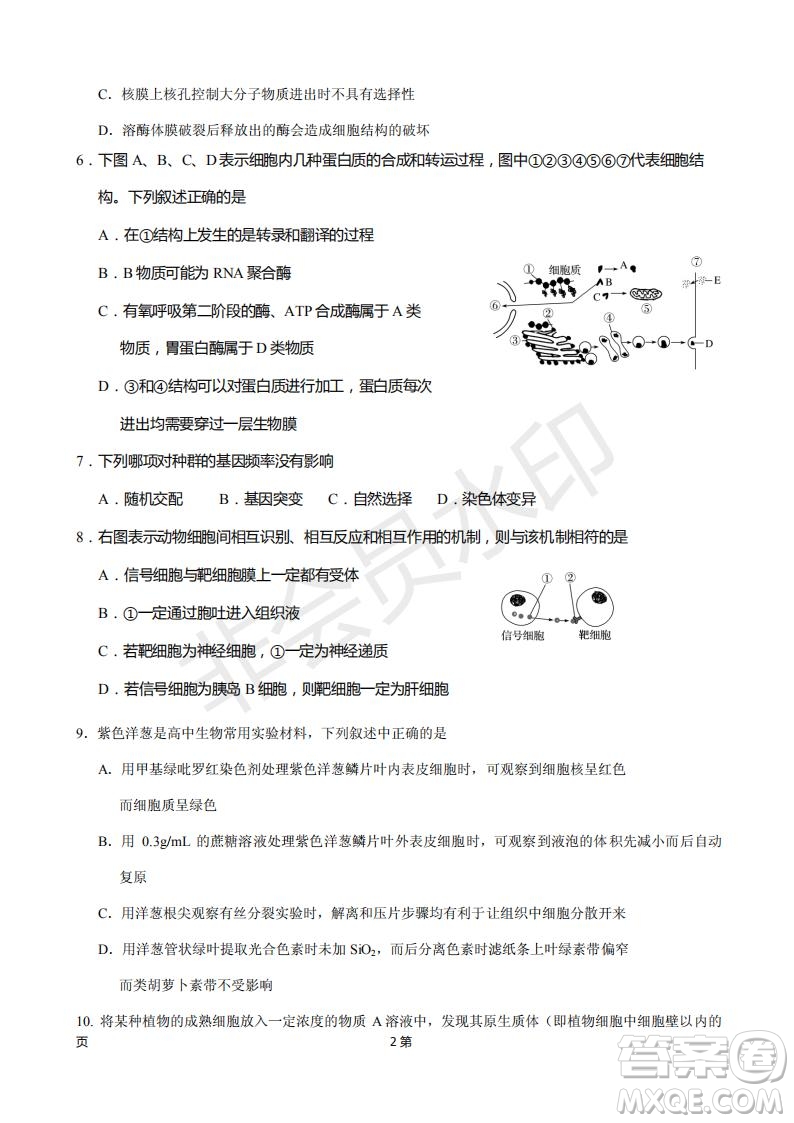 2019屆福建省廈門(mén)外國(guó)語(yǔ)學(xué)校高三11月月考生物試題及答案