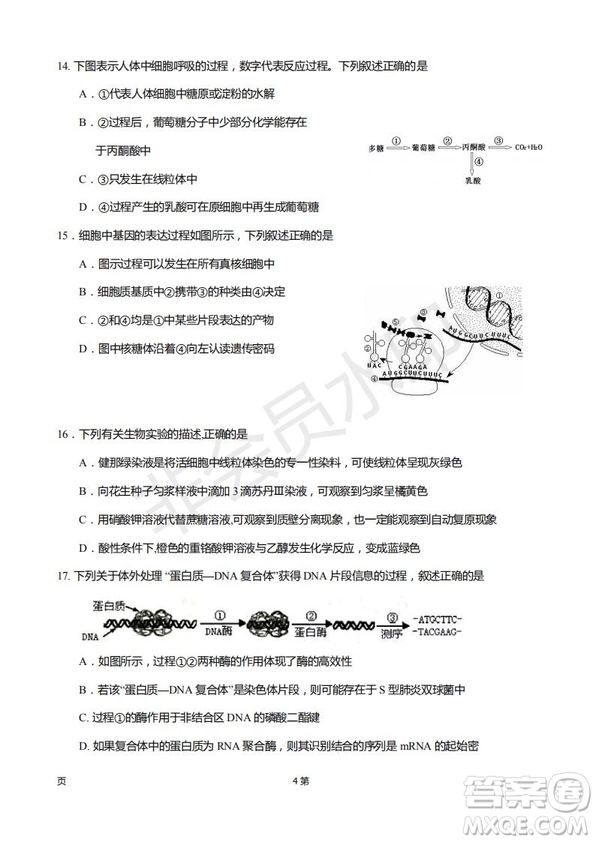 2019屆福建省廈門(mén)外國(guó)語(yǔ)學(xué)校高三11月月考生物試題及答案