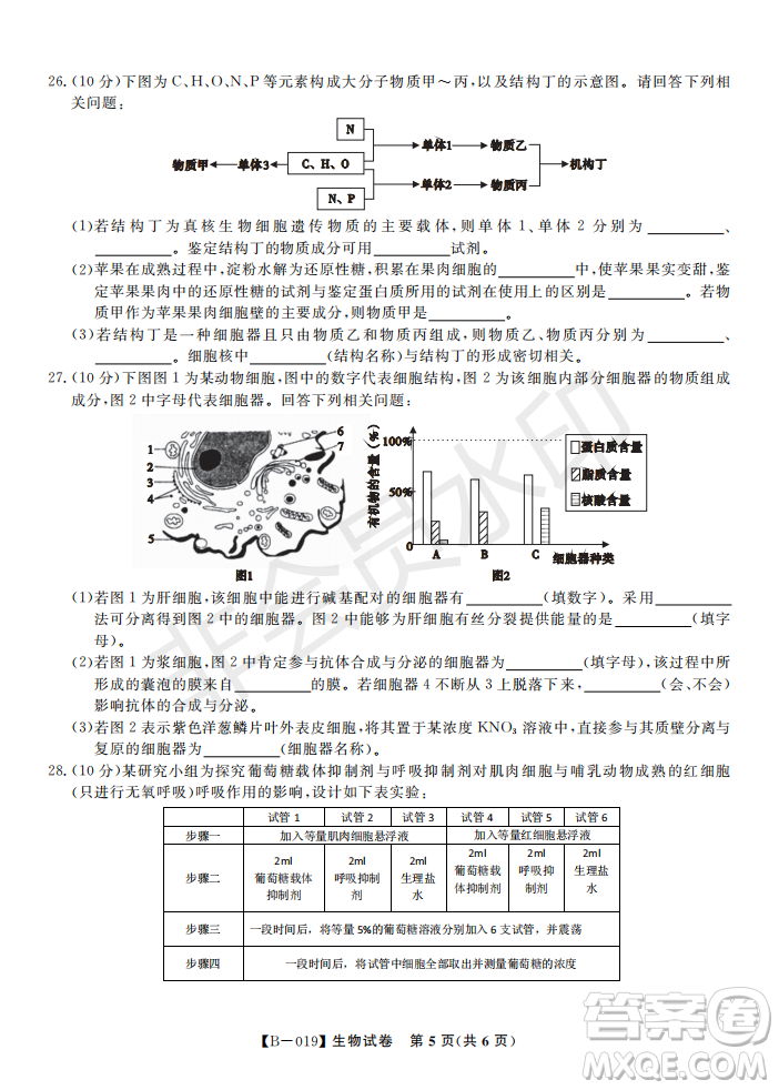 安徽皖東名校聯(lián)盟2019年高三上學期第二次聯(lián)考生物試題及答案解析