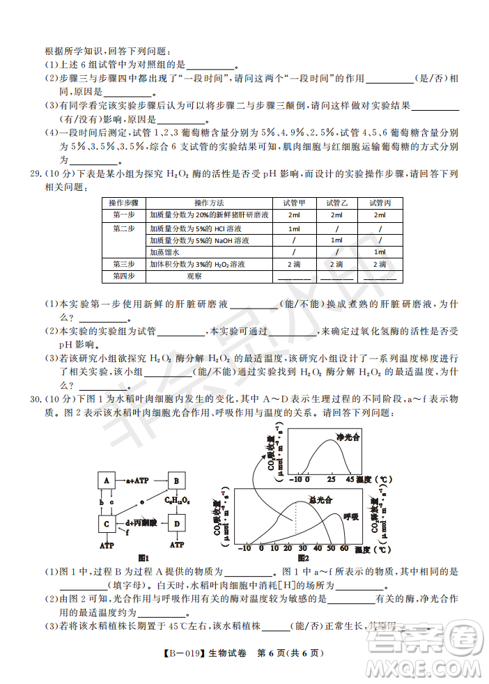 安徽皖東名校聯(lián)盟2019年高三上學期第二次聯(lián)考生物試題及答案解析