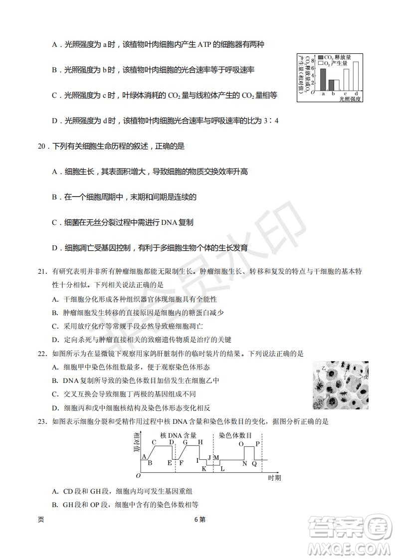 2019屆甘肅省靜寧縣第一中學(xué)高三上學(xué)期第三次模擬考試生物試題及答案