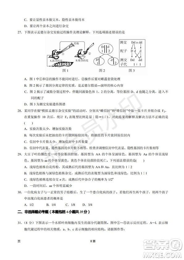 2019屆甘肅省靜寧縣第一中學(xué)高三上學(xué)期第三次模擬考試生物試題及答案