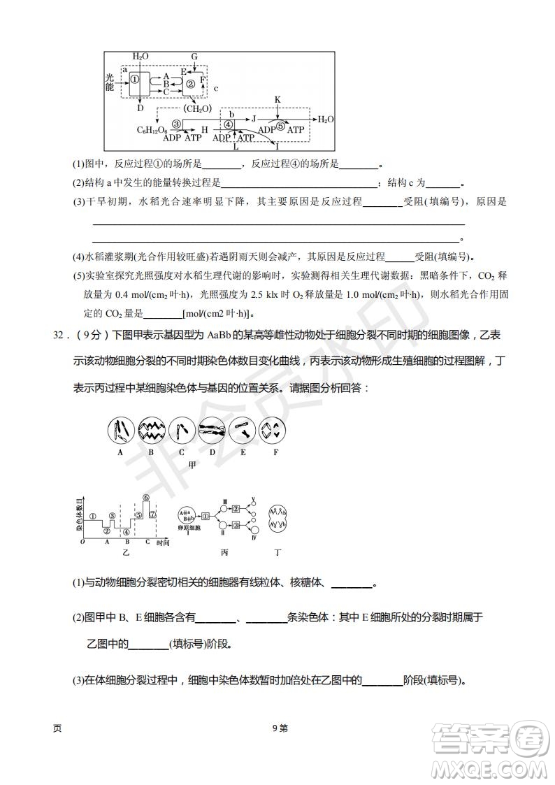 2019屆甘肅省靜寧縣第一中學(xué)高三上學(xué)期第三次模擬考試生物試題及答案