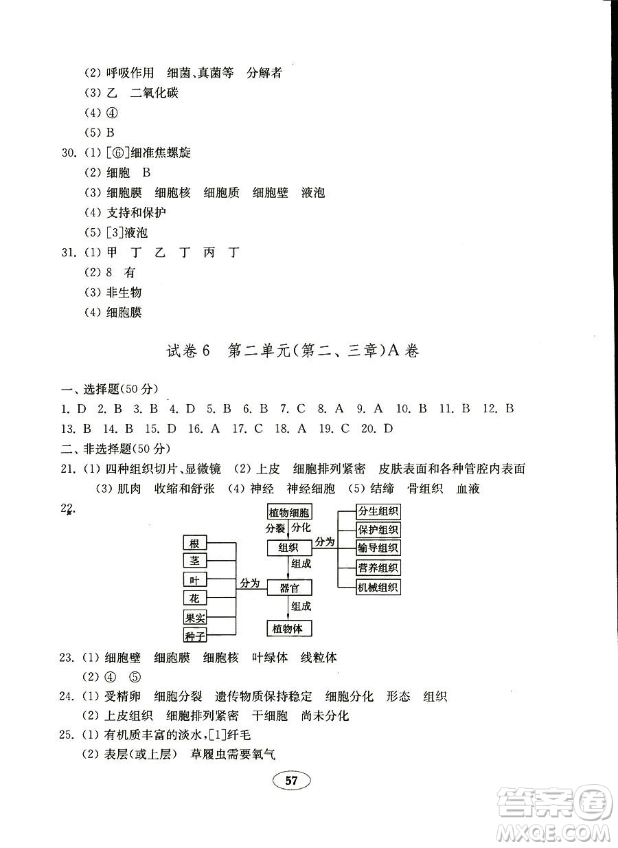 2018秋金鑰匙試卷五四制魯科版六年級上冊生物學參考答案