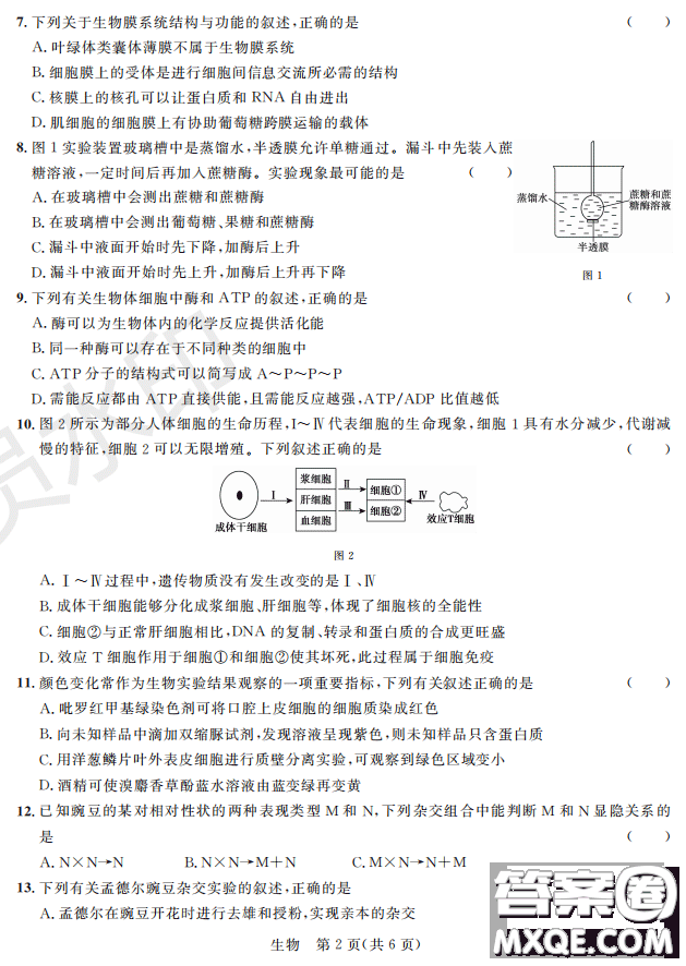 2019屆陜西省高三上學期四校聯(lián)考試題生物試卷及答案解析