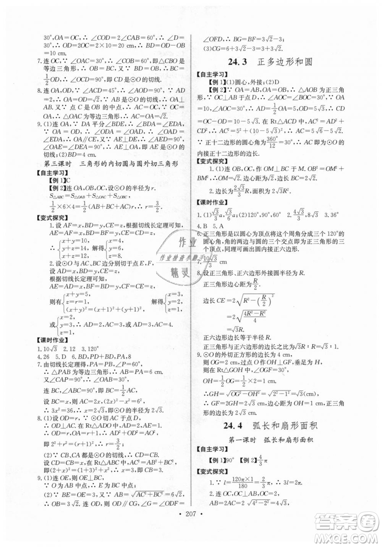 2018年長江全能學案同步練習冊九年級全一冊人教版參考答案