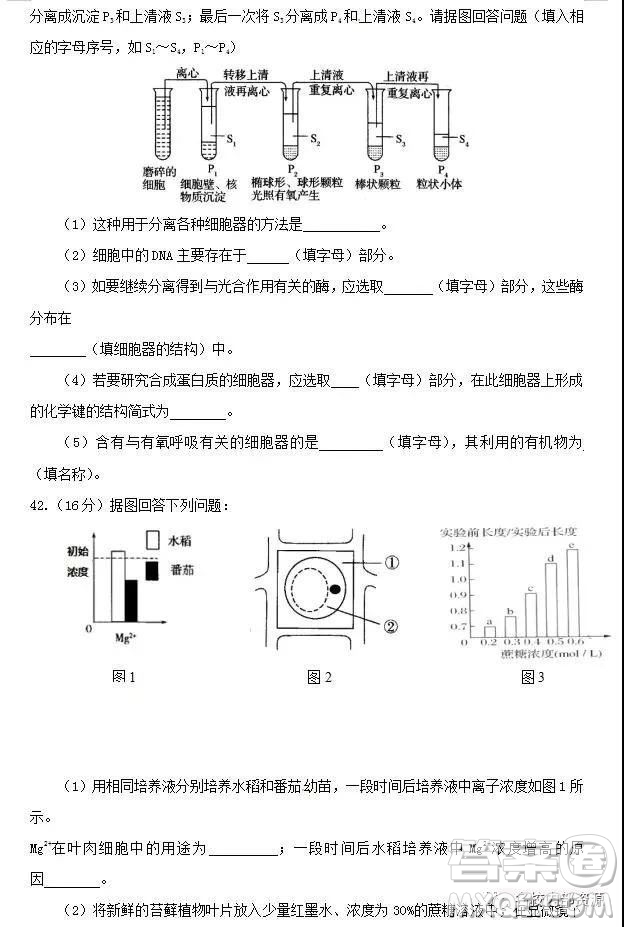 哈六中2021屆高一上學(xué)期12月月考生物試卷及答案