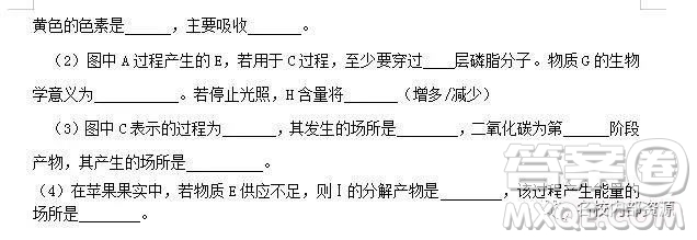 哈六中2021屆高一上學(xué)期12月月考生物試卷及答案