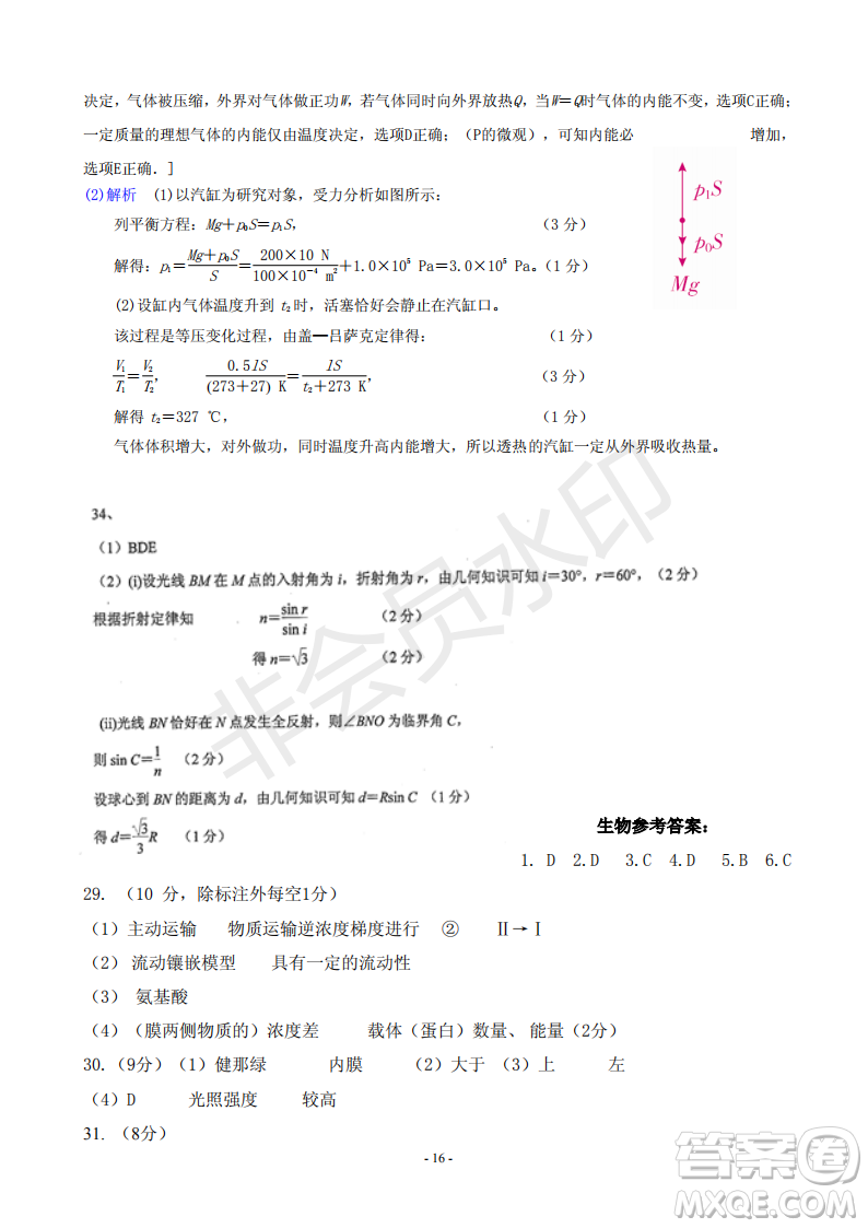 2019屆河北省承德市第一中學(xué)高三上學(xué)期第三次月考理科綜合試題及參考答案