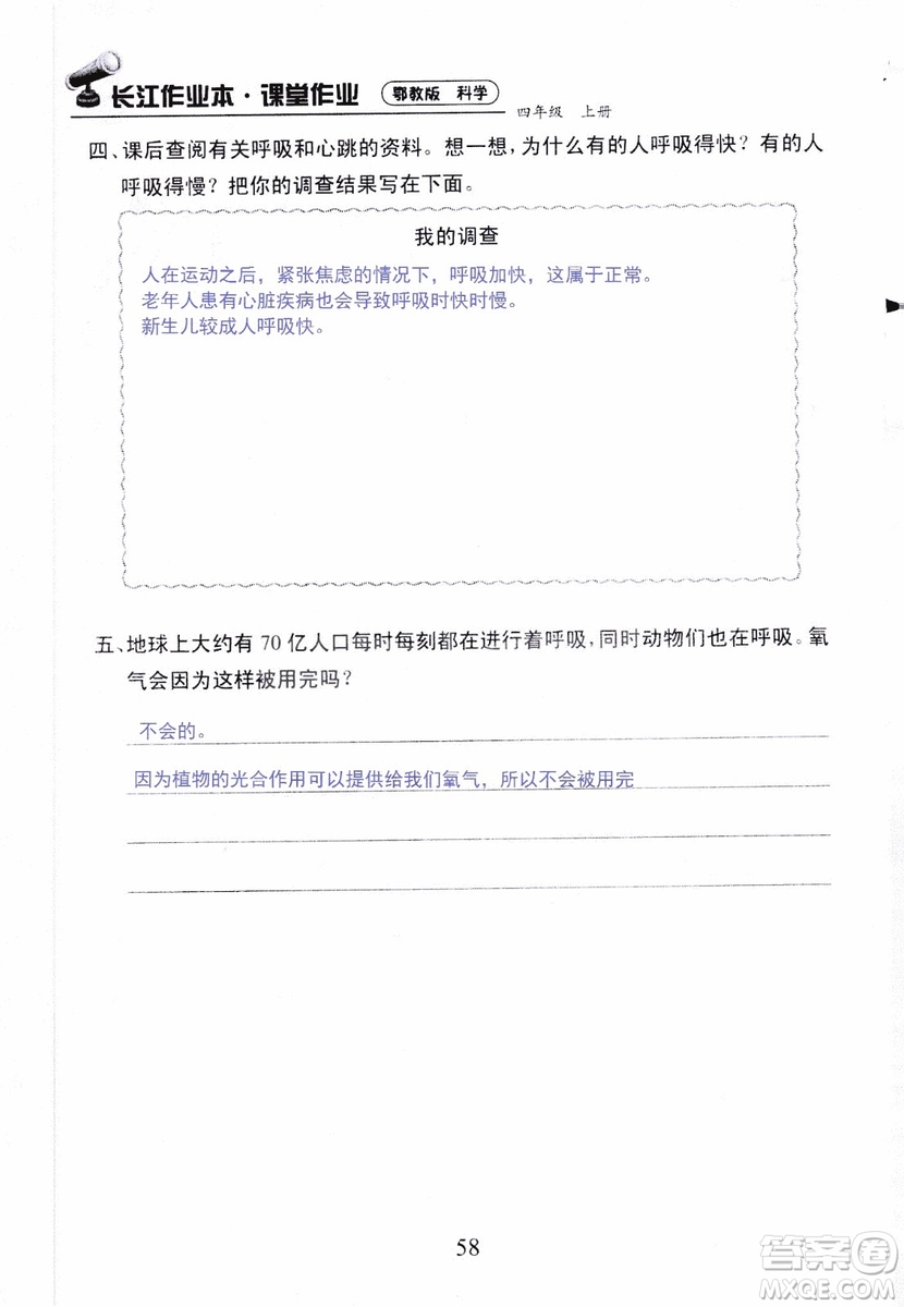 9787535182647長江作業(yè)本同步練習冊四年級上冊科學鄂教版參考答案