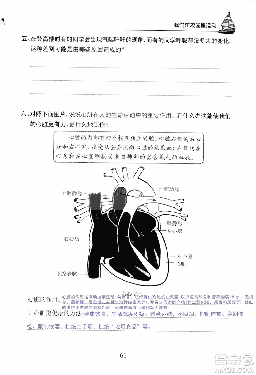 9787535182647長江作業(yè)本同步練習冊四年級上冊科學鄂教版參考答案