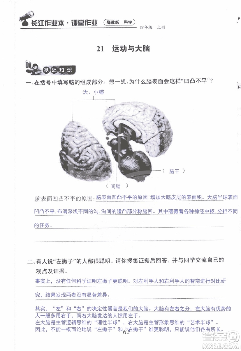 9787535182647長江作業(yè)本同步練習冊四年級上冊科學鄂教版參考答案