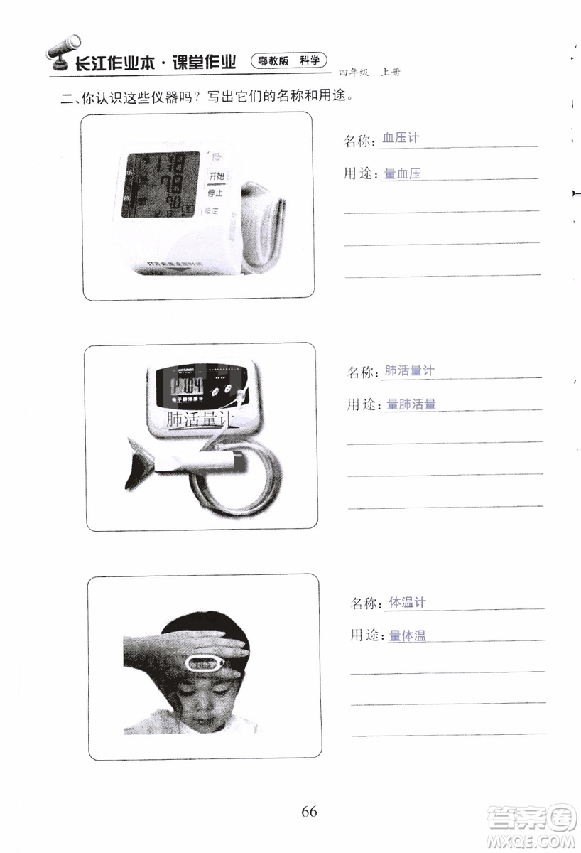 9787535182647長江作業(yè)本同步練習冊四年級上冊科學鄂教版參考答案