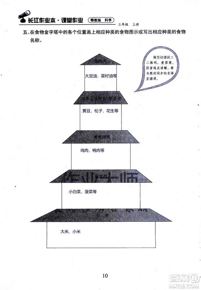 2018年長(zhǎng)江作業(yè)本課堂作業(yè)科學(xué)三年級(jí)上冊(cè)鄂教版參考答案