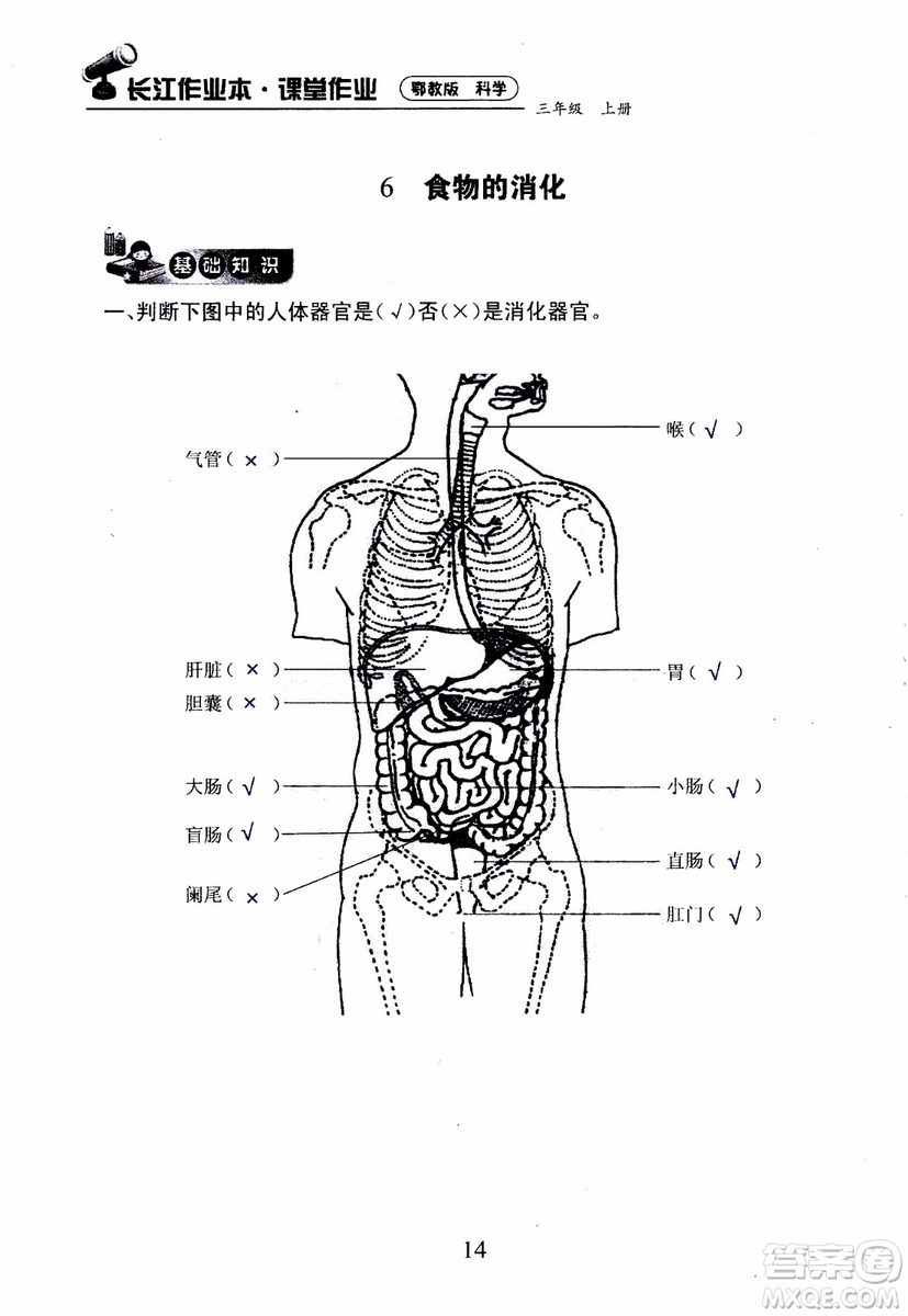 2018年長(zhǎng)江作業(yè)本課堂作業(yè)科學(xué)三年級(jí)上冊(cè)鄂教版參考答案