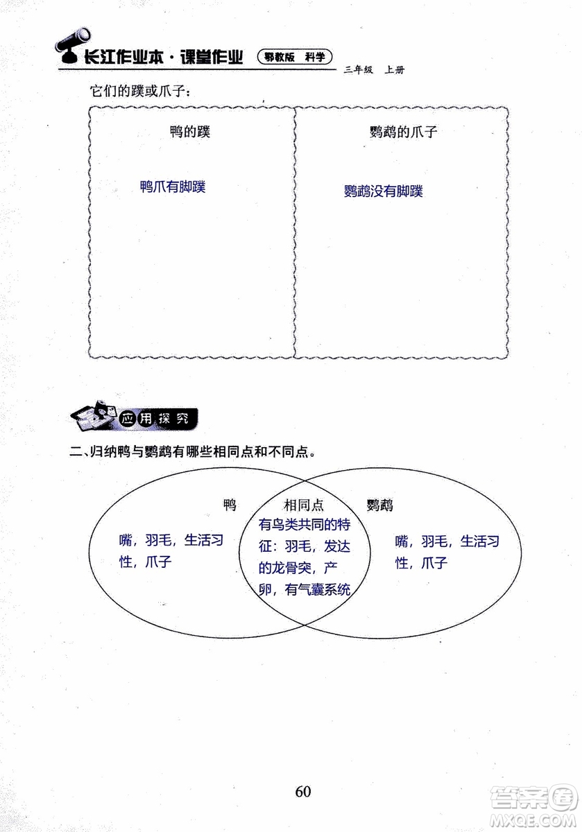 2018年長(zhǎng)江作業(yè)本課堂作業(yè)科學(xué)三年級(jí)上冊(cè)鄂教版參考答案