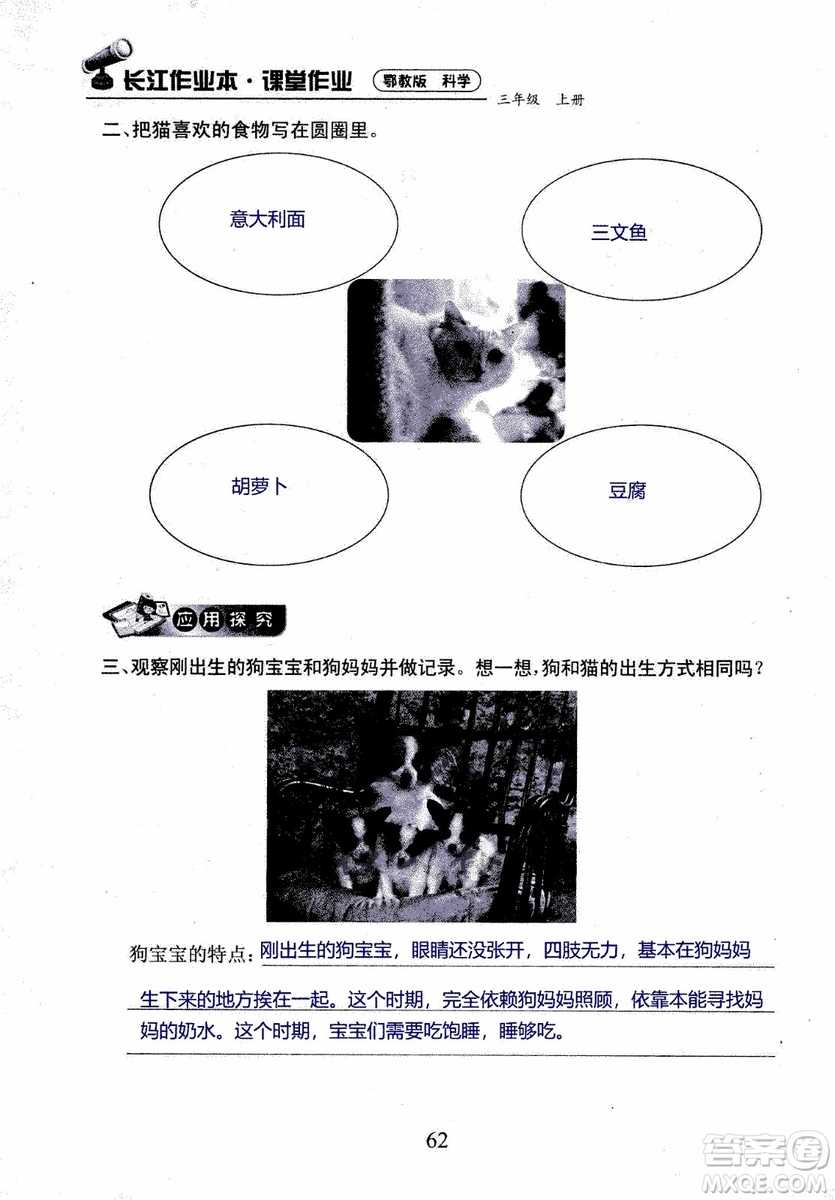 2018年長(zhǎng)江作業(yè)本課堂作業(yè)科學(xué)三年級(jí)上冊(cè)鄂教版參考答案