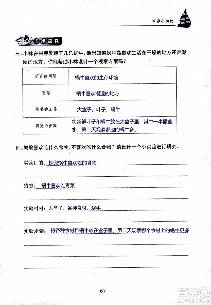 2018年長(zhǎng)江作業(yè)本課堂作業(yè)科學(xué)三年級(jí)上冊(cè)鄂教版參考答案