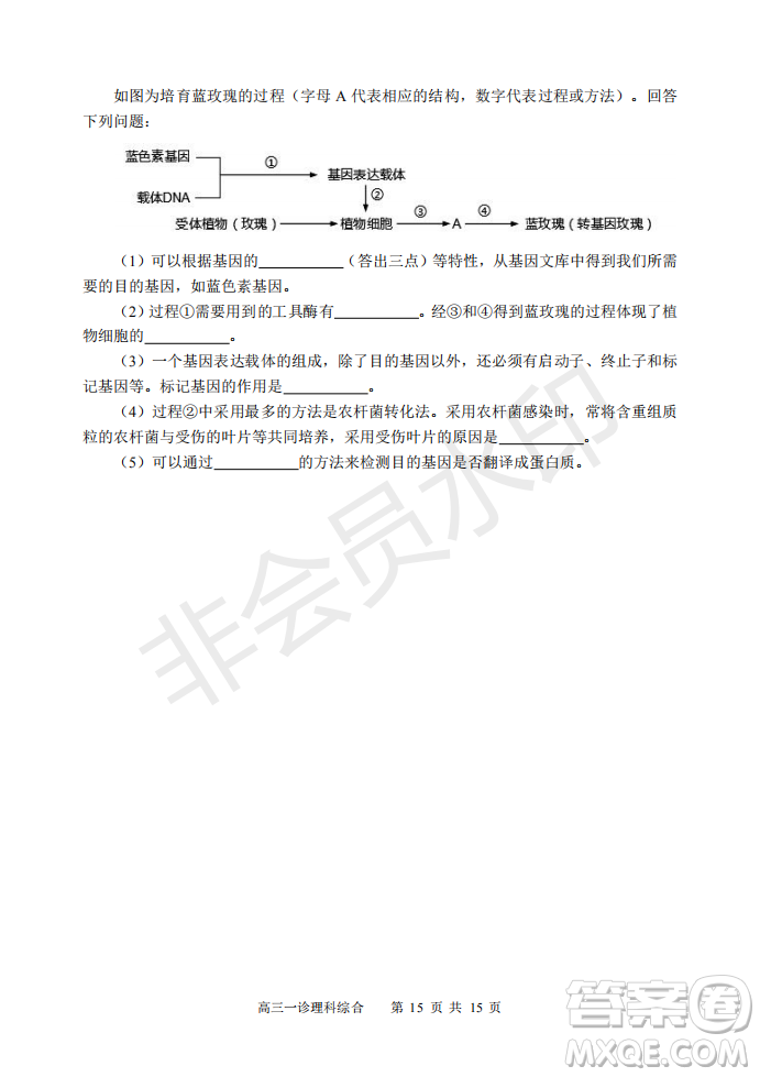 2019宜賓一診理綜參考答案