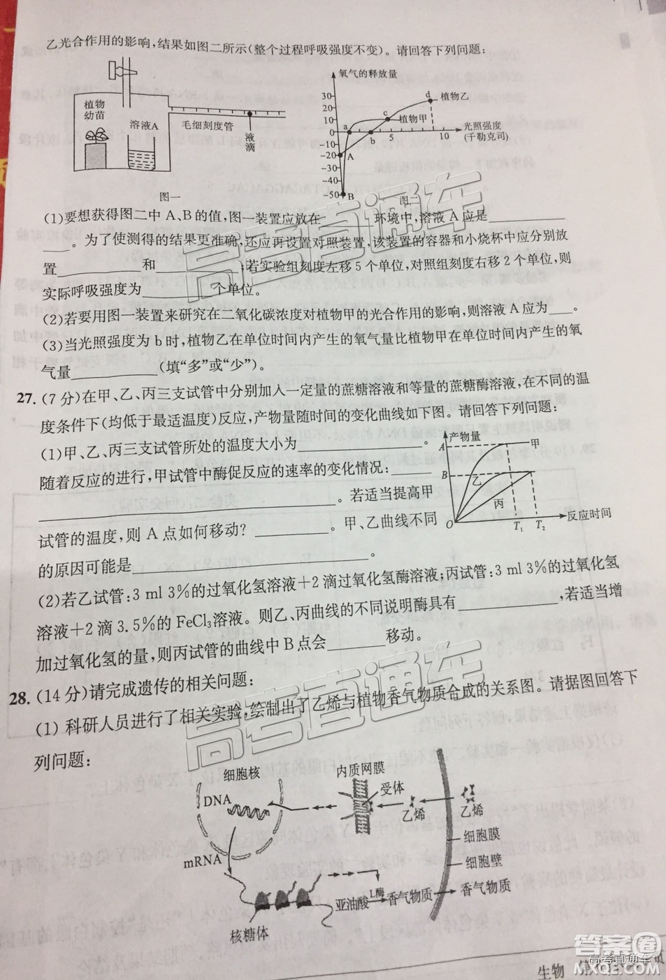 2019屆江南十校高三第二次大聯(lián)考生物試題及參考答案