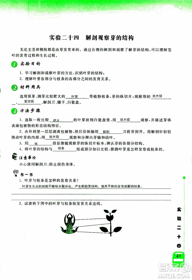 2018年長江作業(yè)本實驗報告生物學(xué)七年級上冊北師大版參考答案