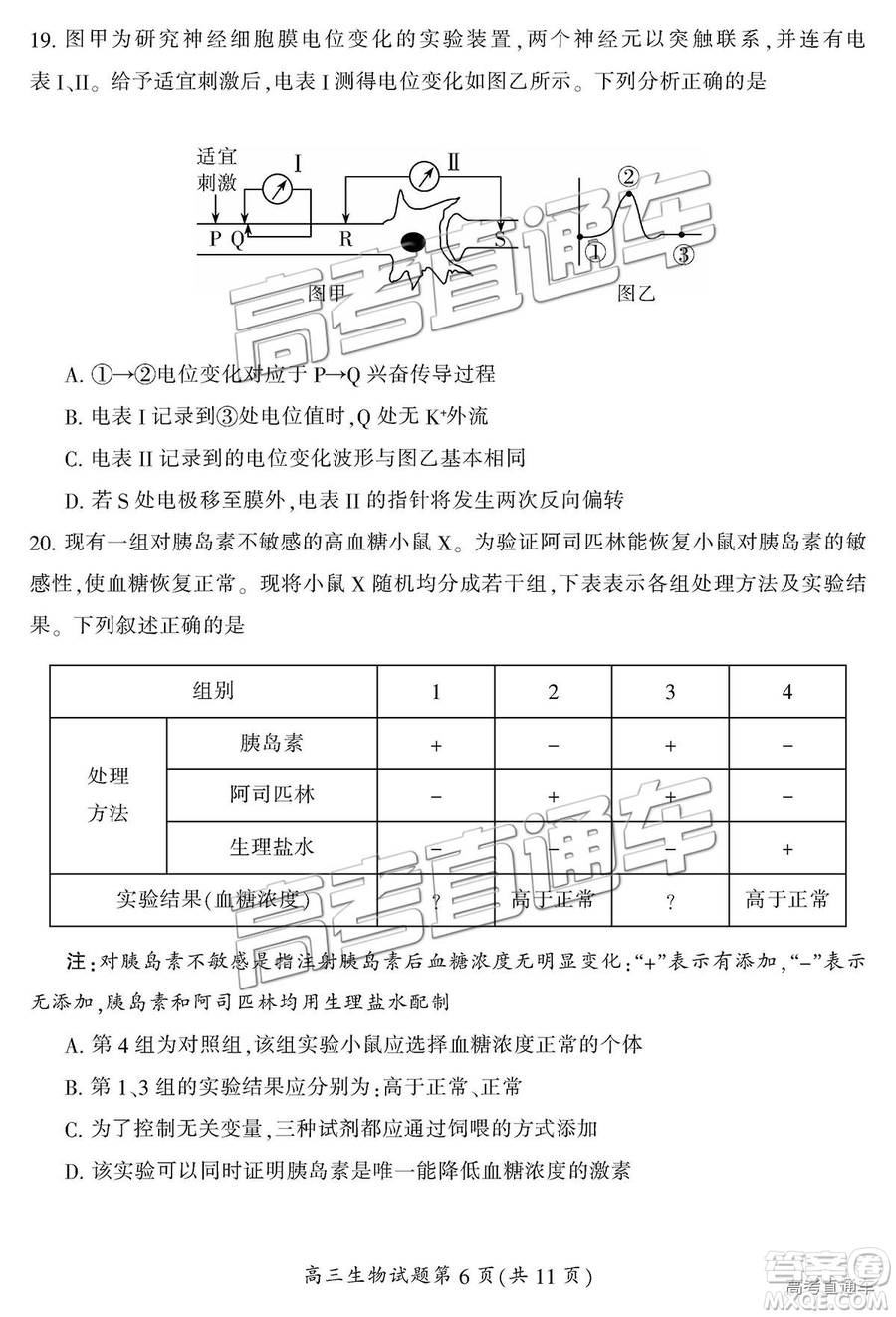 2019屆湖南省郴州市高三第一次質(zhì)量檢測(cè)理綜試題及參考答案