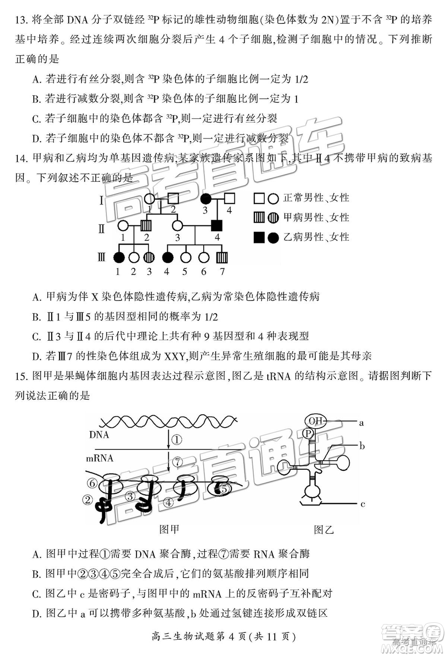 2019屆湖南省郴州市高三第一次質(zhì)量檢測(cè)理綜試題及參考答案