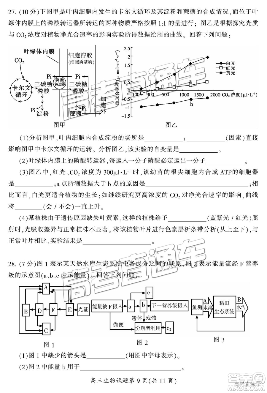 2019屆湖南省郴州市高三第一次質(zhì)量檢測(cè)理綜試題及參考答案