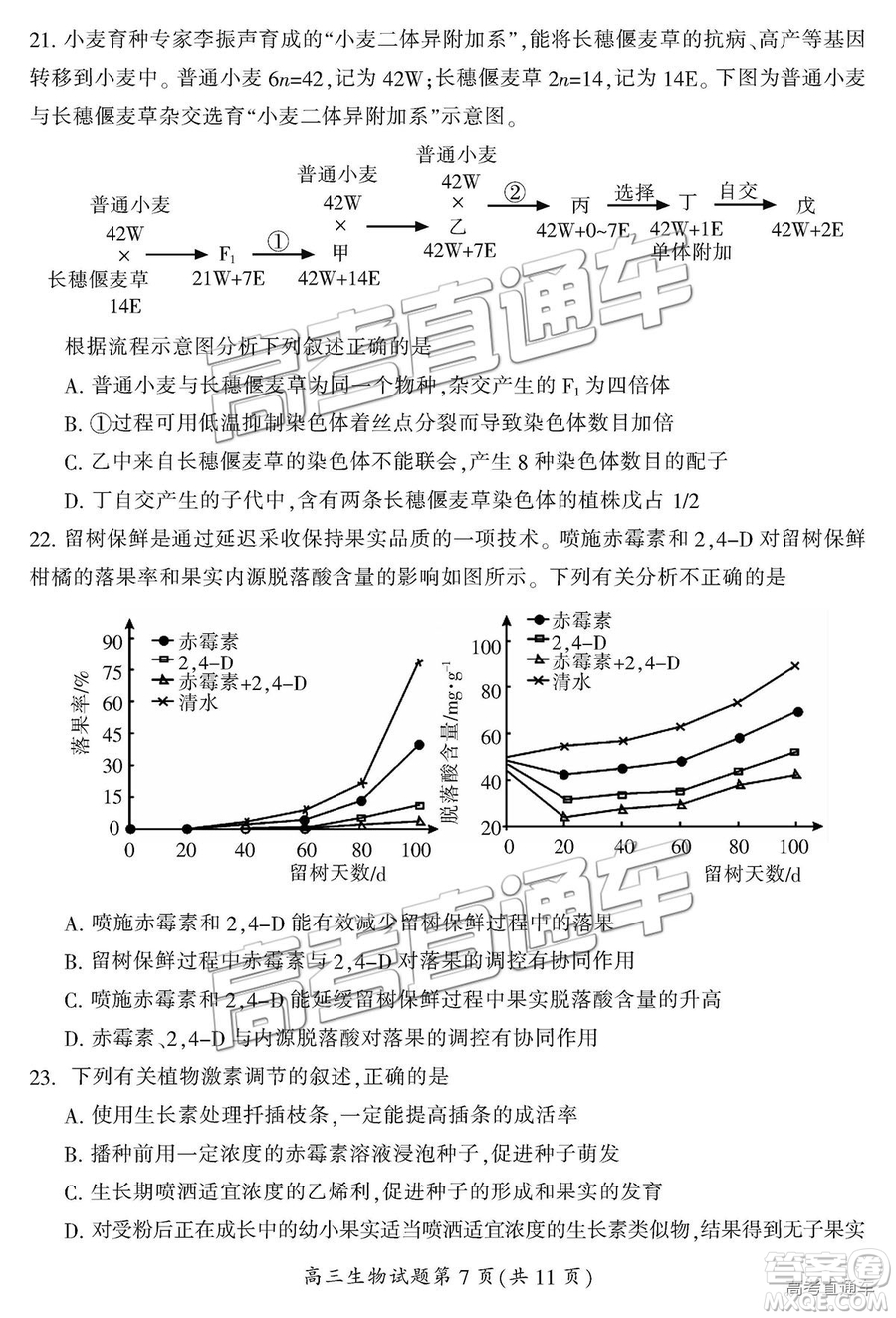 2019屆湖南省郴州市高三第一次質(zhì)量檢測(cè)理綜試題及參考答案