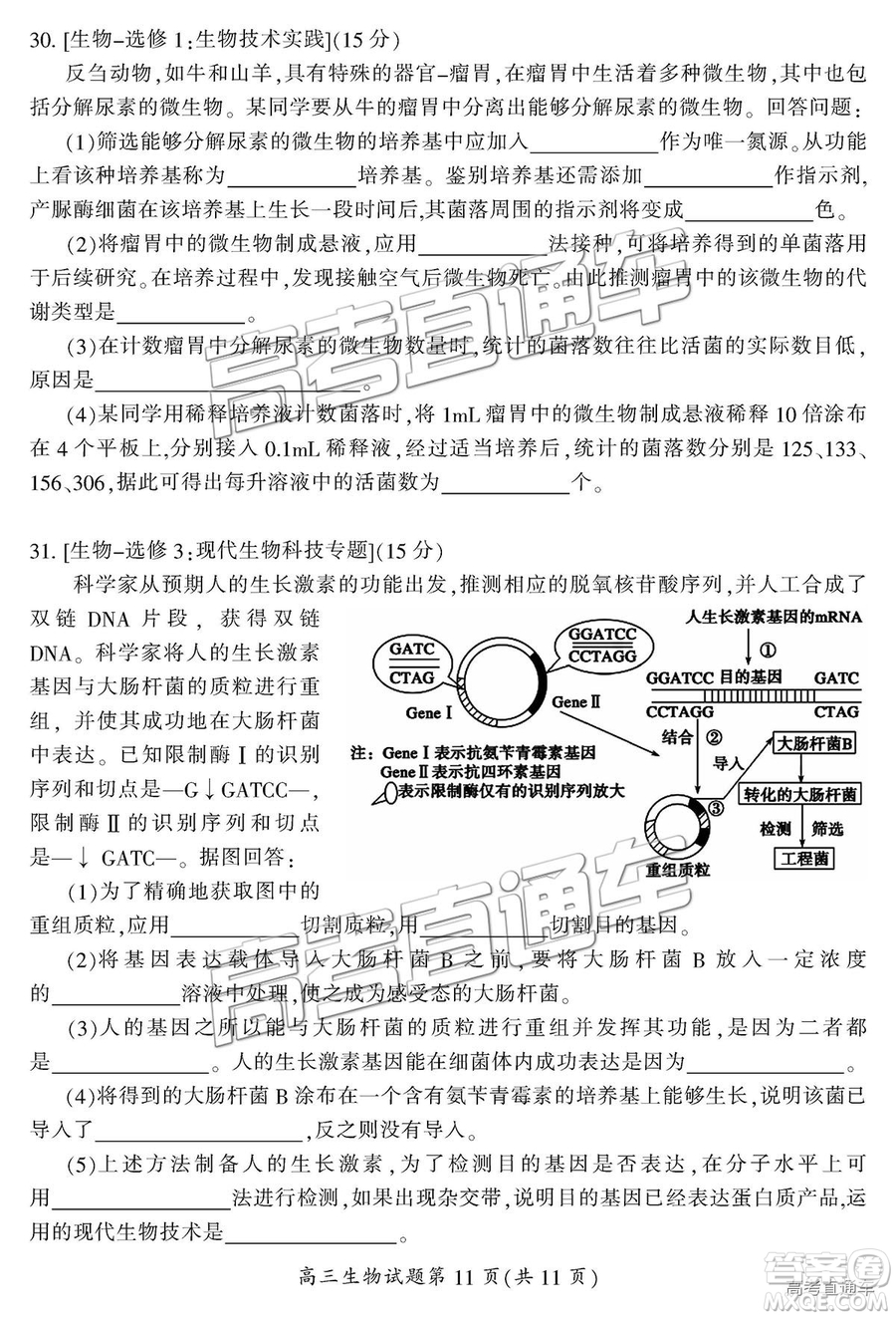 2019屆湖南省郴州市高三第一次質(zhì)量檢測(cè)理綜試題及參考答案