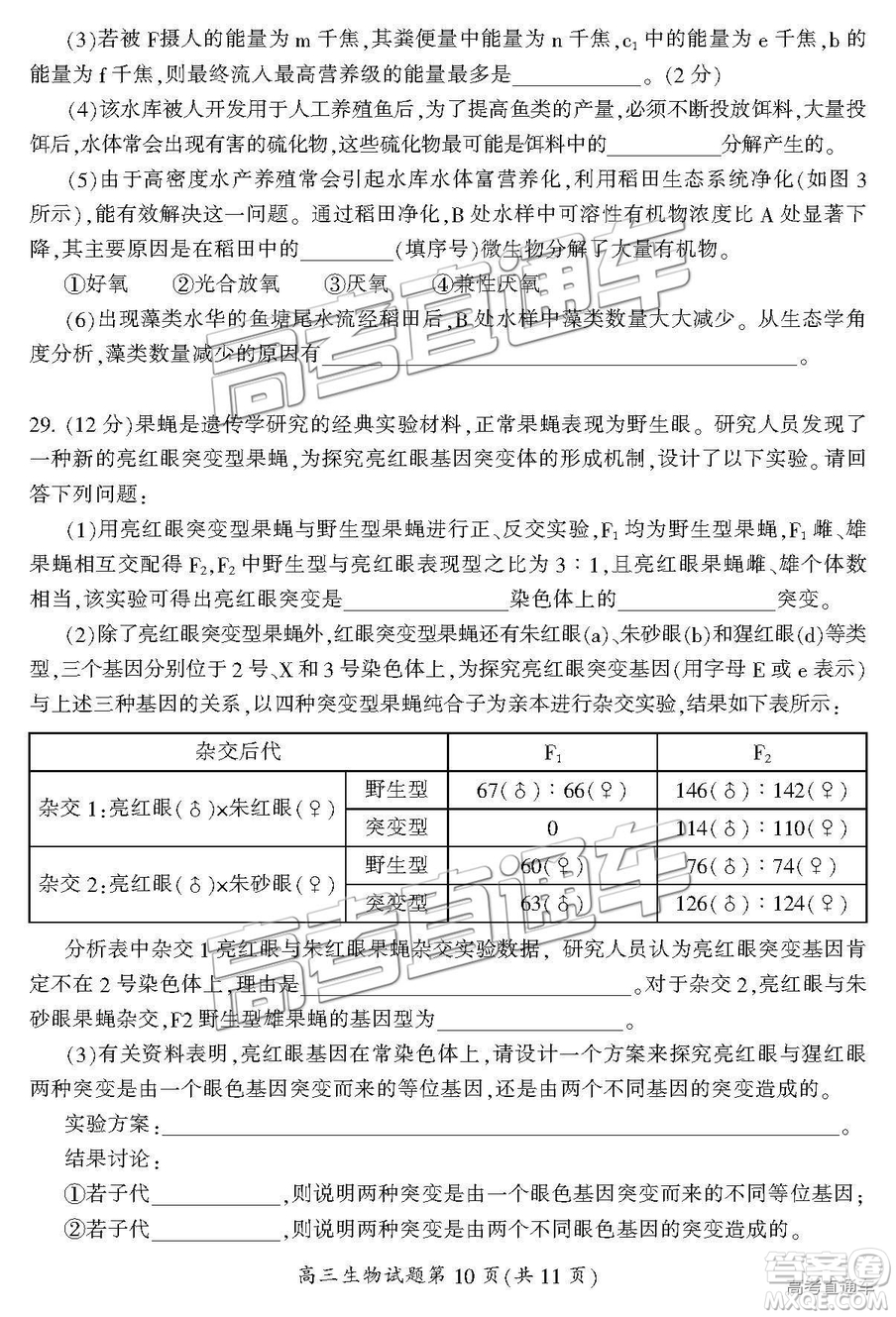 2019屆湖南省郴州市高三第一次質(zhì)量檢測(cè)理綜試題及參考答案