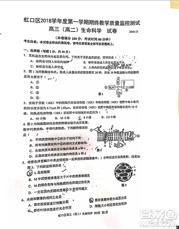 2019屆上海虹口高三一模生命科學(xué)試卷答案