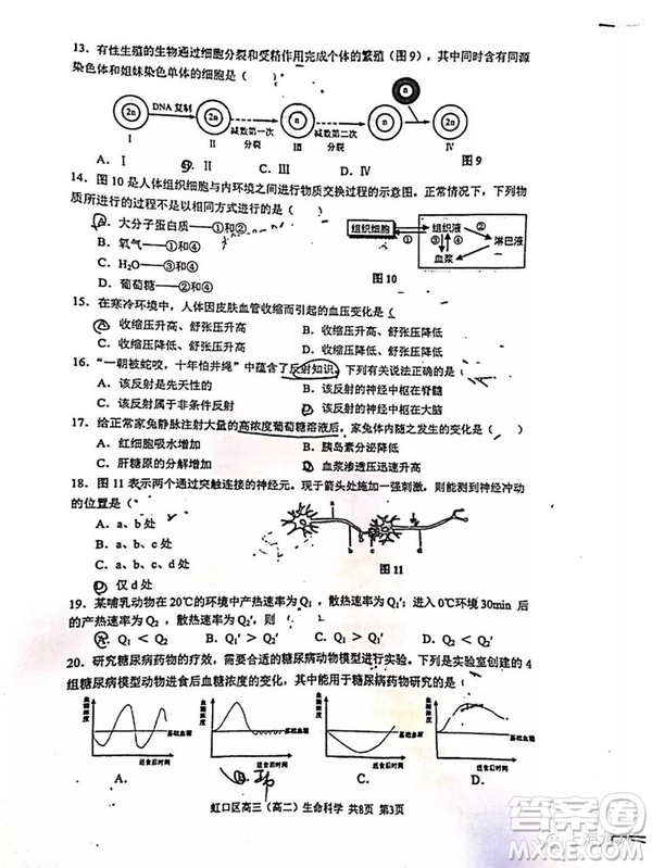 2019屆上海虹口高三一模生命科學(xué)試卷答案