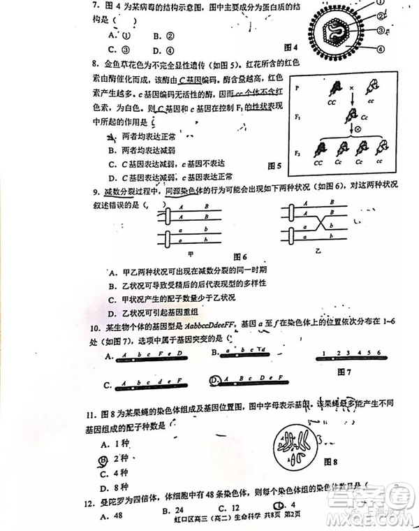 2019屆上海虹口高三一模生命科學(xué)試卷答案