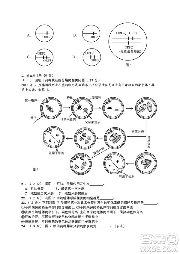 2019屆上海崇明高三生物一模試卷答案