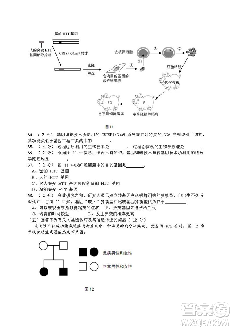 2019屆上海崇明高三生物一模試卷答案