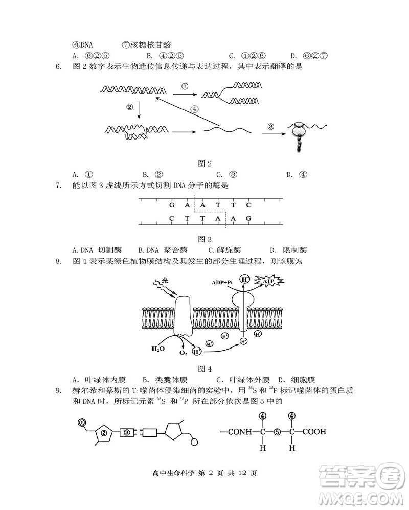 2019屆上海金山高三一模生物試卷答案