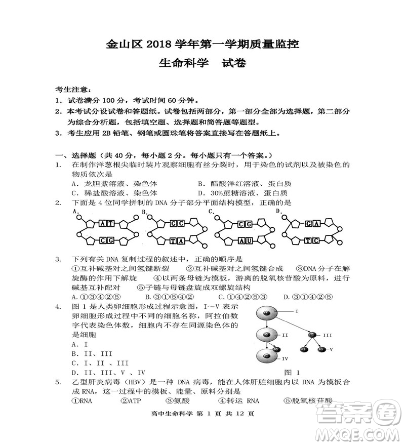 2019屆上海金山高三一模生物試卷答案